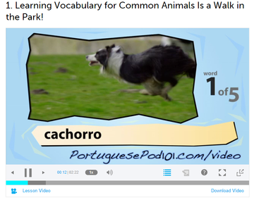 Bonus Courses at Portuguese Pod 101